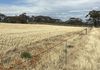 23060 Sturt Highway, Yamba