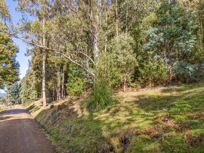 Lot 1, Smiths Road, Nicholls Rivulet