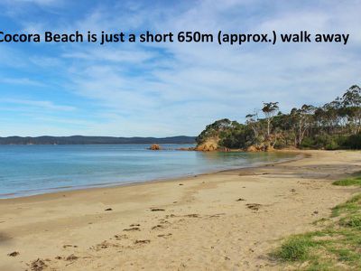 19 Whale Cove Circuit, Eden