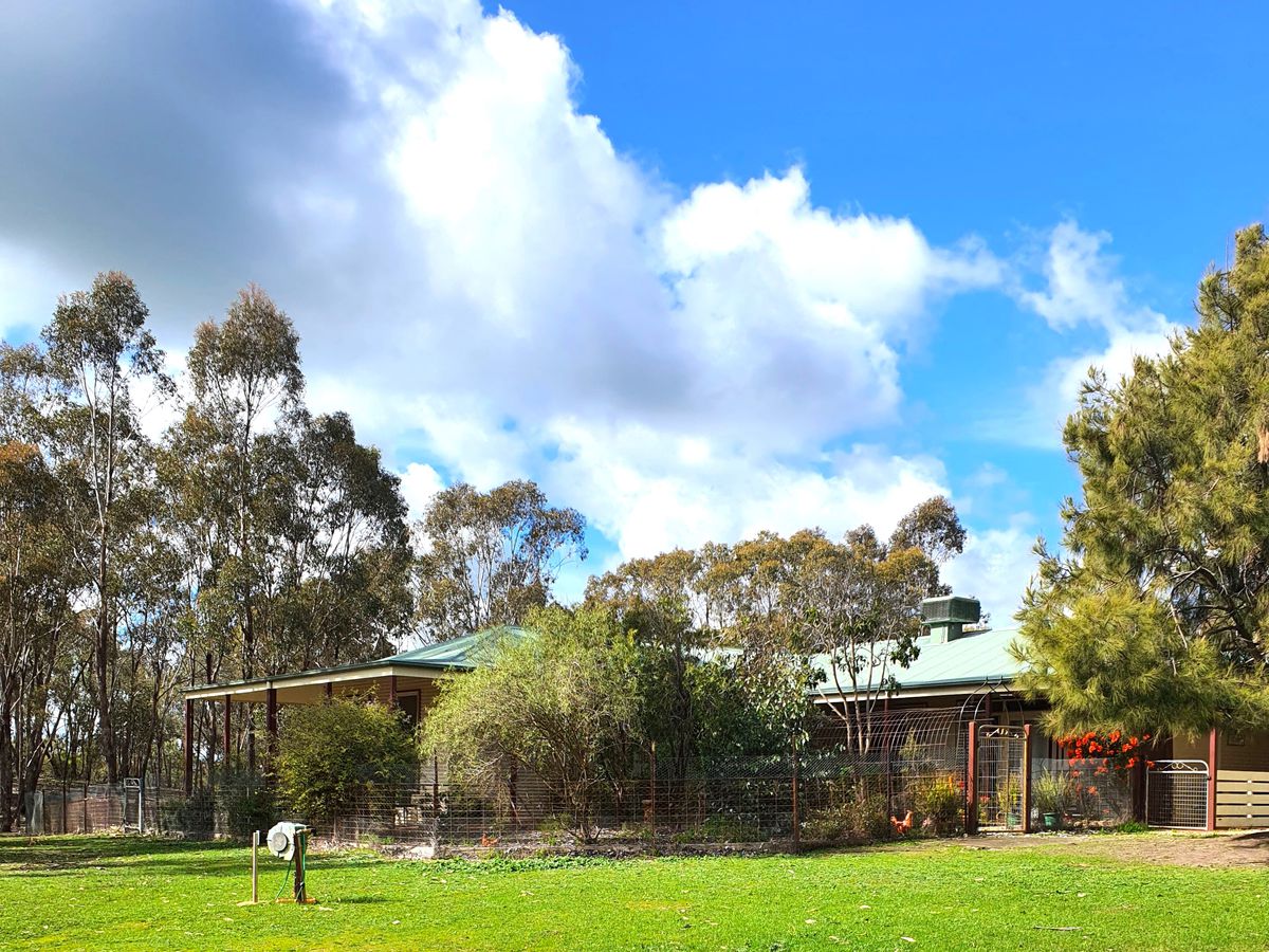 647 Sloans Road, Violet Town