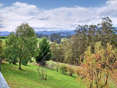 109 Missing Link Road , Wattle Grove