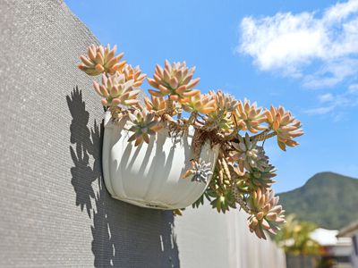 29 Homevale Entrance, Mount Peter