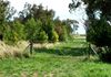 * 193 McDonald Rd, Boree Lane, Orange