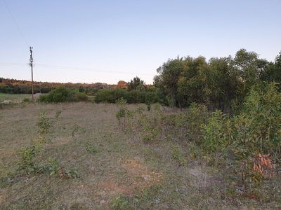 Lot 790, Thomas Road, Rocky Camp