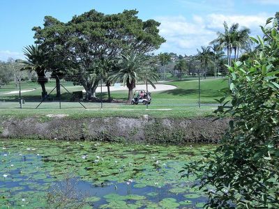 46 / 73-101 Darlington Drive, Banora Point