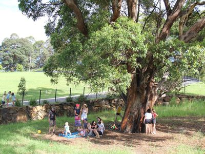 Lot Lot 240 to 280, Tuckeroo Ave, Mullumbimby