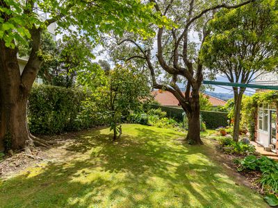 5 Falkland Street, Maori Hill