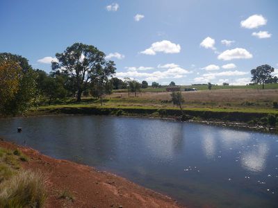 376 Reedy Creek, Kingaroy
