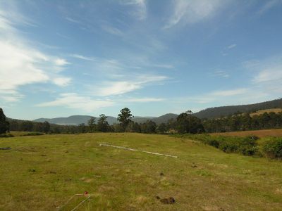 Eld Road, Lonnavale
