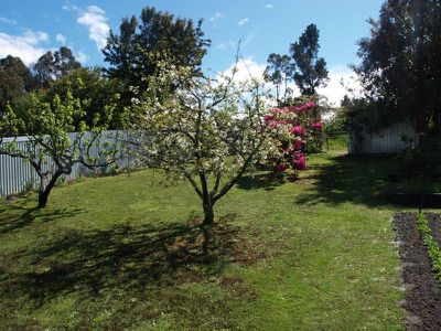 6 Walton Street, Huonville