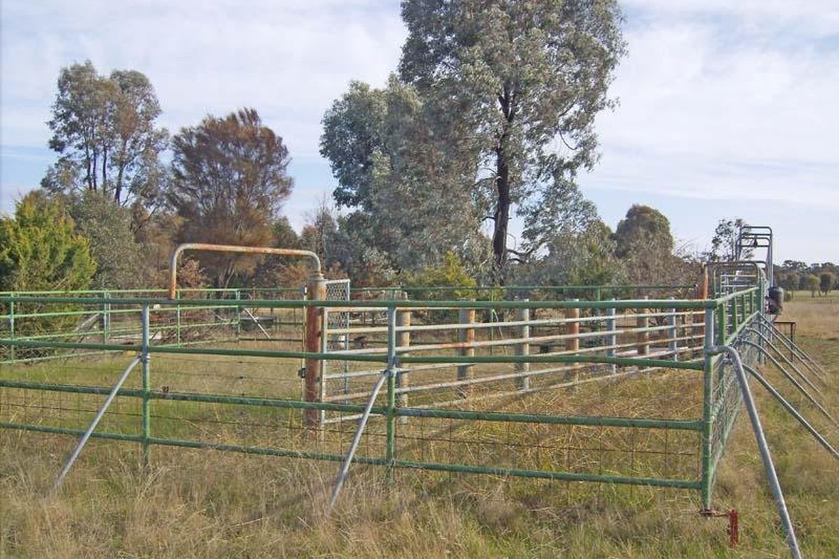 485 Wet Road, Murchison