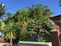 3A  37 Landseer Street, Sunnybank Hills