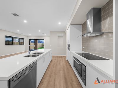 19 Cheddar Street, Donnybrook