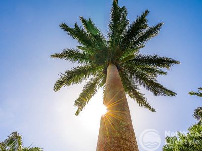 18 Elizabeth Avenue, South Golden Beach