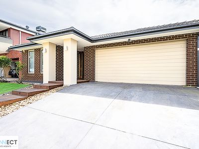 10 Water Fern Grove, Greenvale