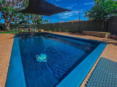 20 Spoonbill Crescent, South Hedland