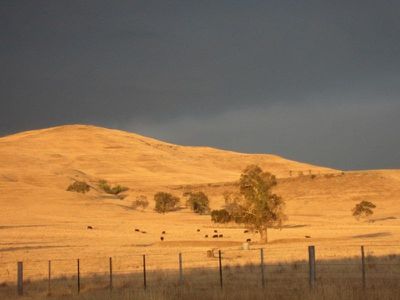 149 Mt Battery Road, Mansfield