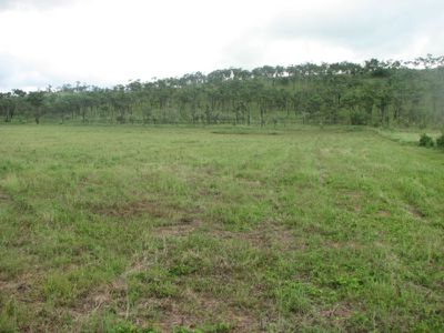 Mareeba