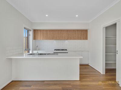 81 Cosmopolitan Drive, Wyndham Vale