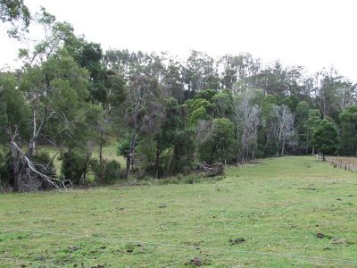 145 Denmans Road, Flowery Gully