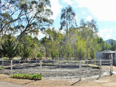Bonnie Doon