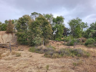Rubyvale