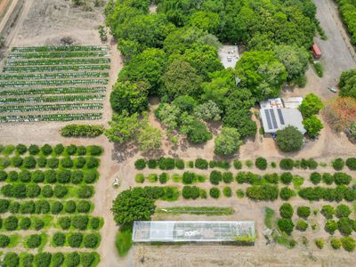 600 Mocatto Road, Acacia Hills