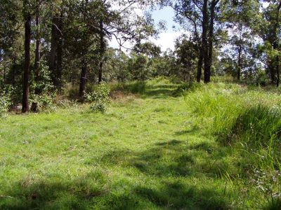 Conondale