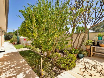 4 Fawkes Way , Baldivis