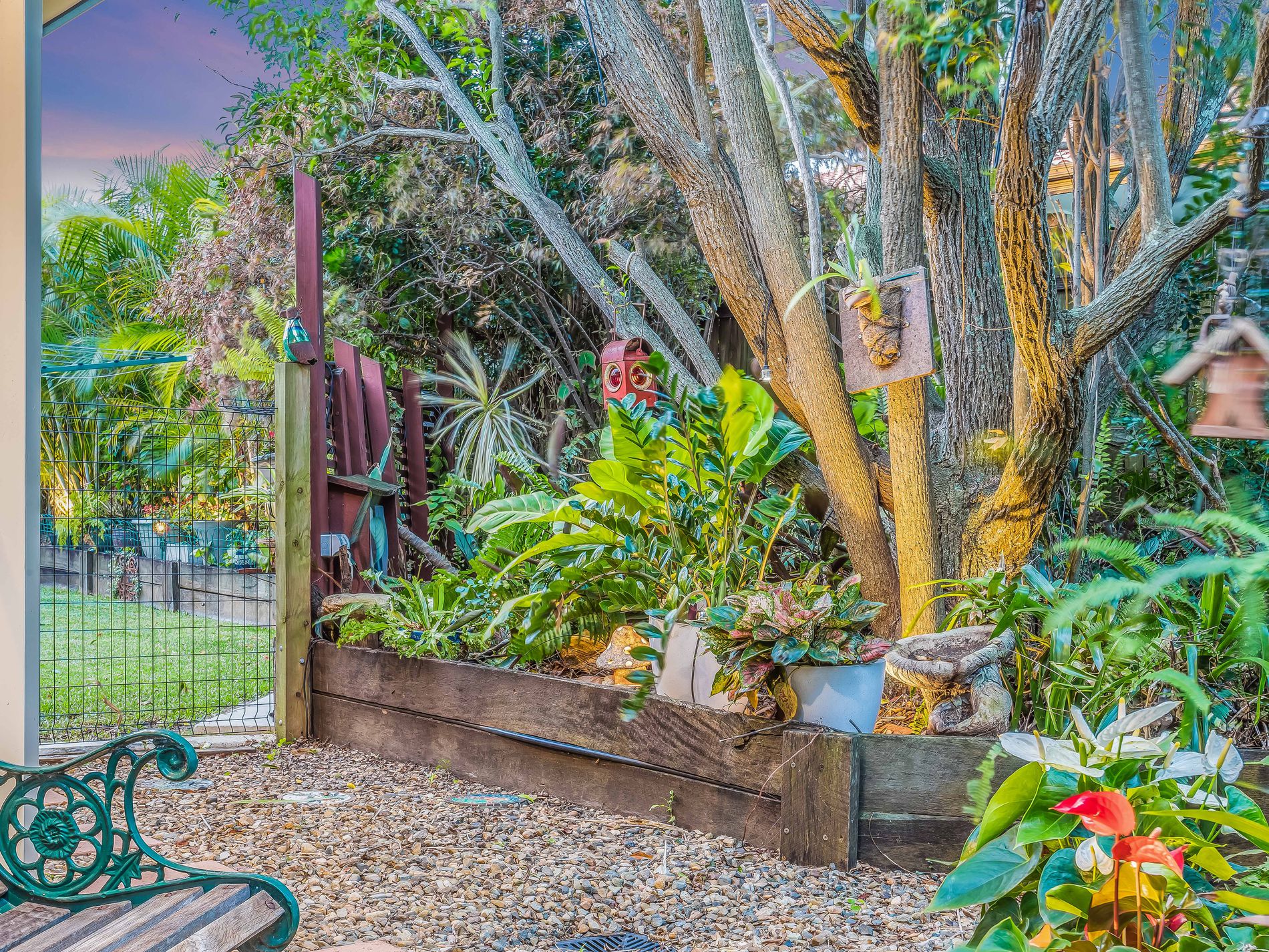 17 Oisin Street, Murrumba Downs