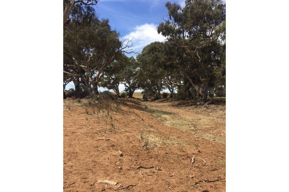 Angas Valley CE Property Group