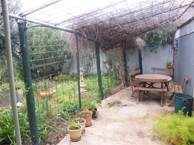 14 Berkley St, Forbes