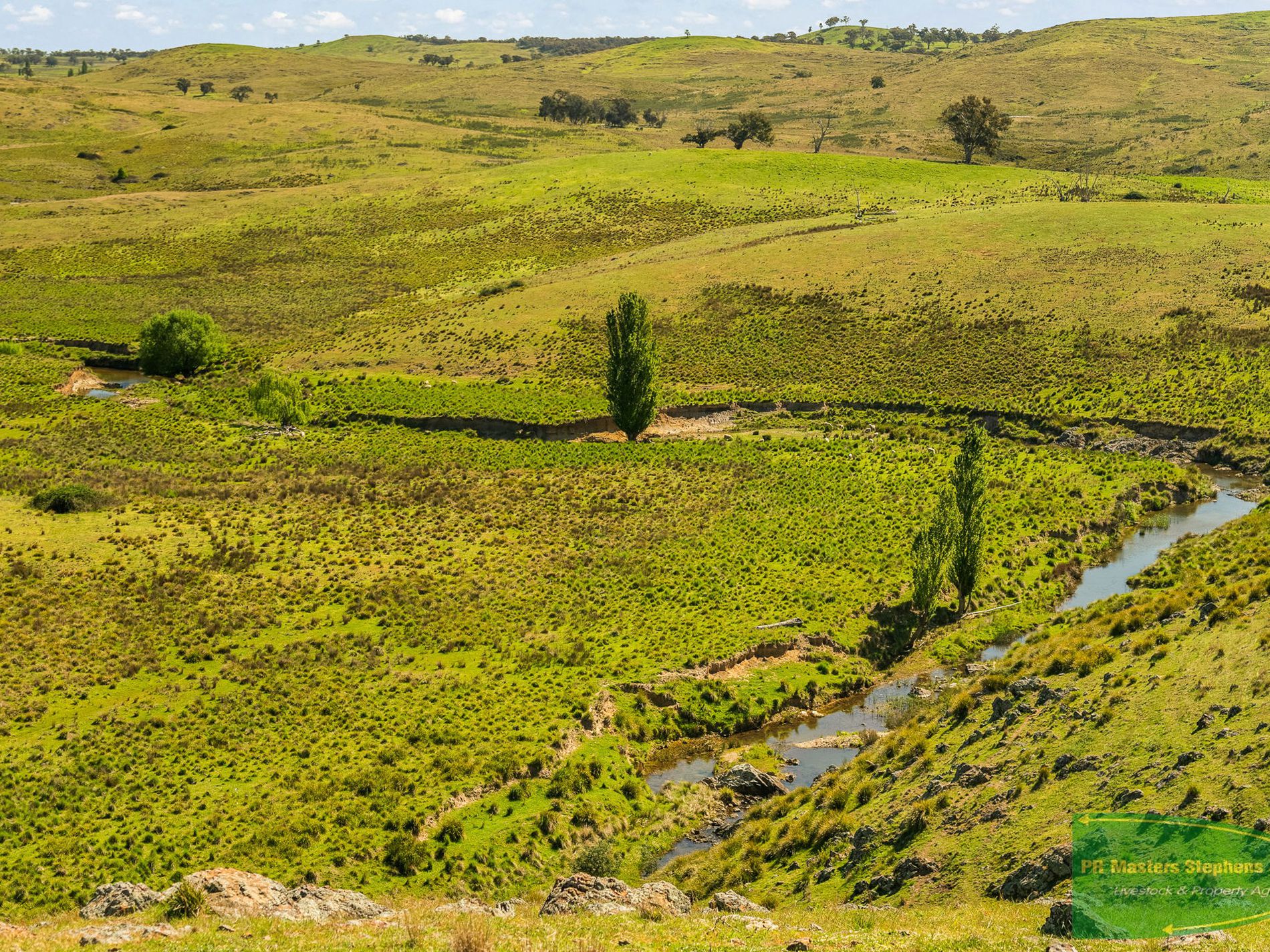 351 Shepherds Creek Road, Euchareena