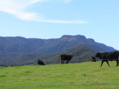 2286D 2286D Moss Vale Road, Kangaroo Valley