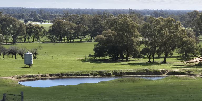 10 Dunnings Road, Balmattum