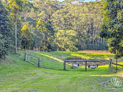 765 Old Highway, Narooma