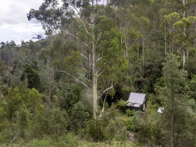 243 Judds Creek Road, Judbury