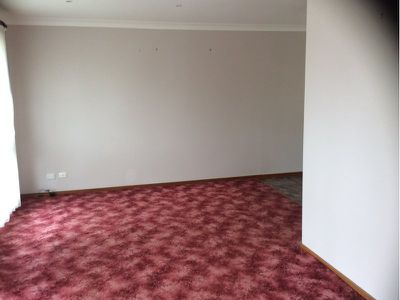 33 Blackbutt Way, Barrack Heights