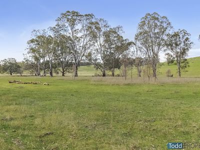 Watkins Lane, Heathcote