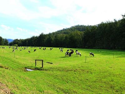 230 Allans Road, Kangaroo Valley