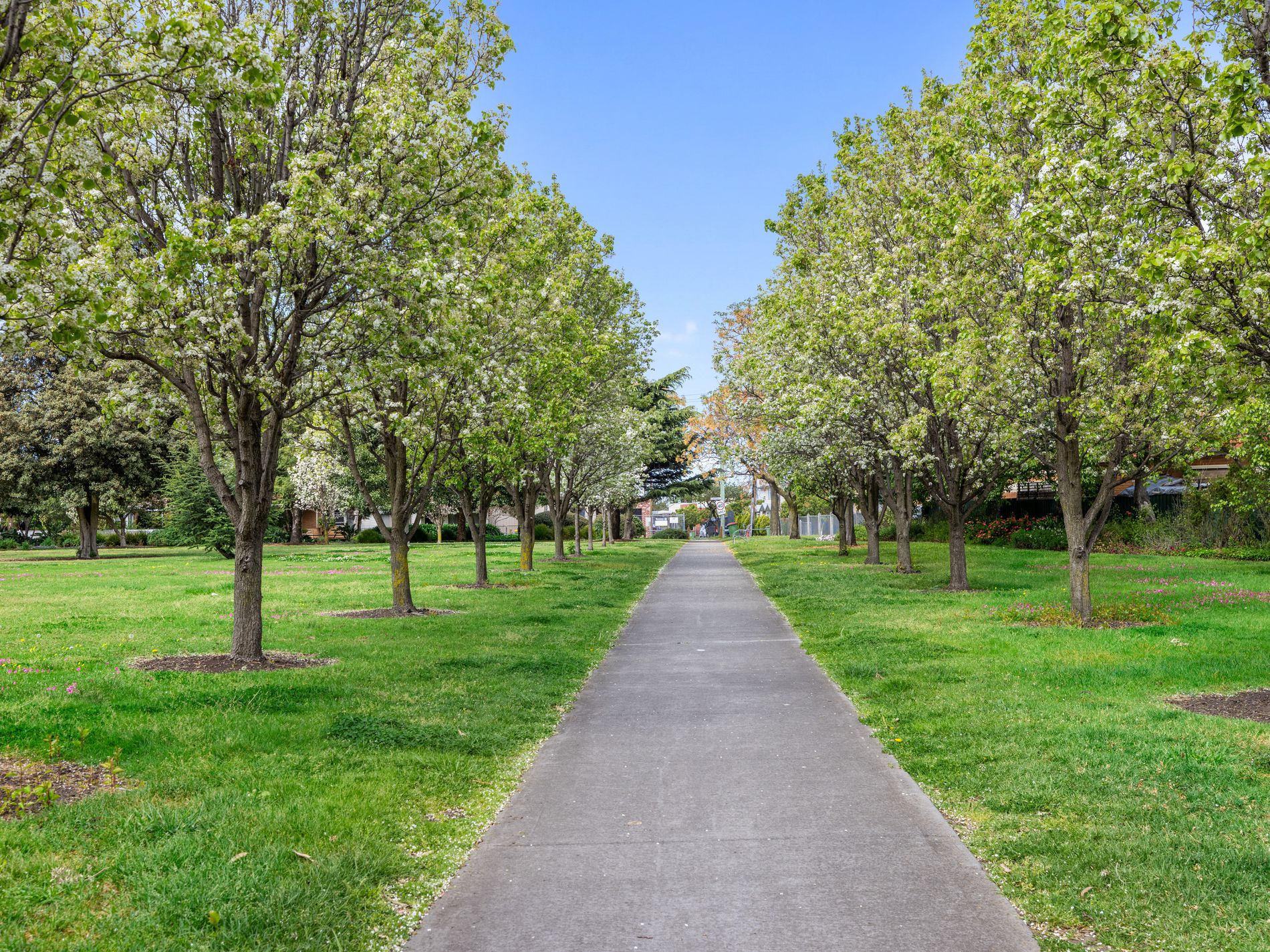 2 / 30 Yardley Street, Maidstone