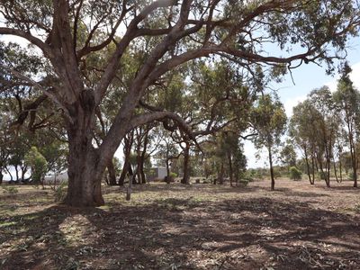 20  O'Brien Court, Heathcote