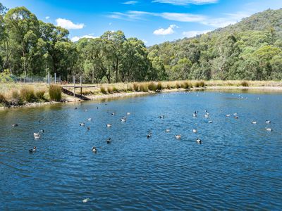 217A Simmonds Creek Road, Tawonga South