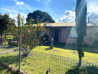 1154 Brooklands Pimpimbudgee Road, Maidenwell
