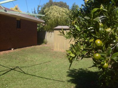 4 Hamilton Close, Dubbo