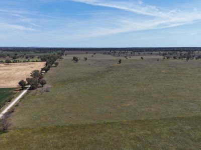 3166 Back Trundle Road, Parkes