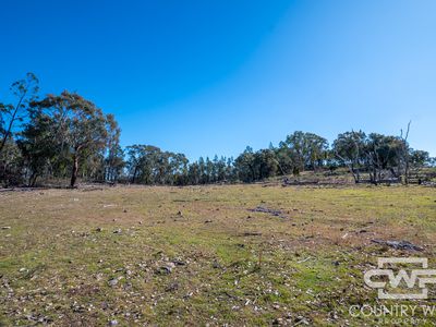 Lot 16, 18, - Emmaville Rd, Emmaville
