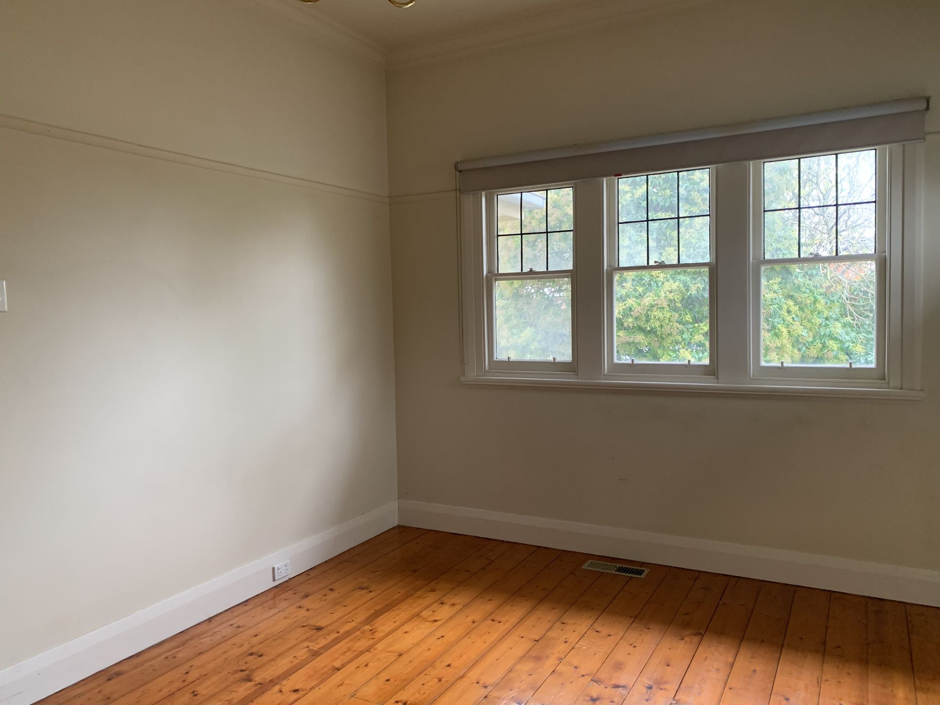 1 / 165 Minerva Road, Newtown
