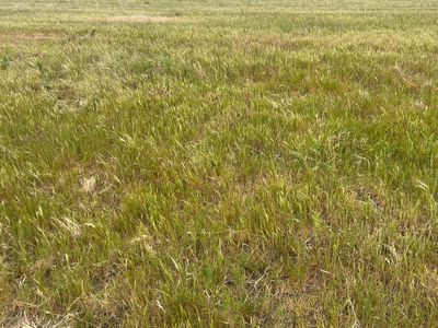 Lot 2 Ringwood Drive, Beachport