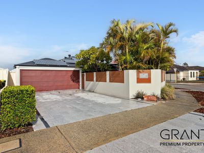 51 Jackadder Avenue, Hammond Park